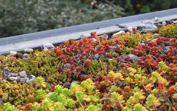 the cost of Black Moor green roof installation