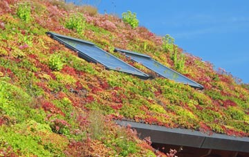 Black Moor living roof systems