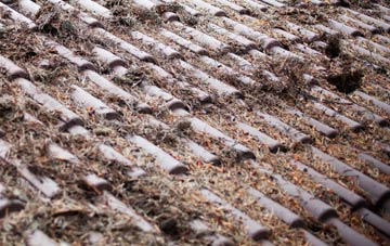 Black Moor roof cleaning companies